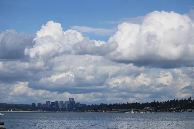 Bellevue under weather
