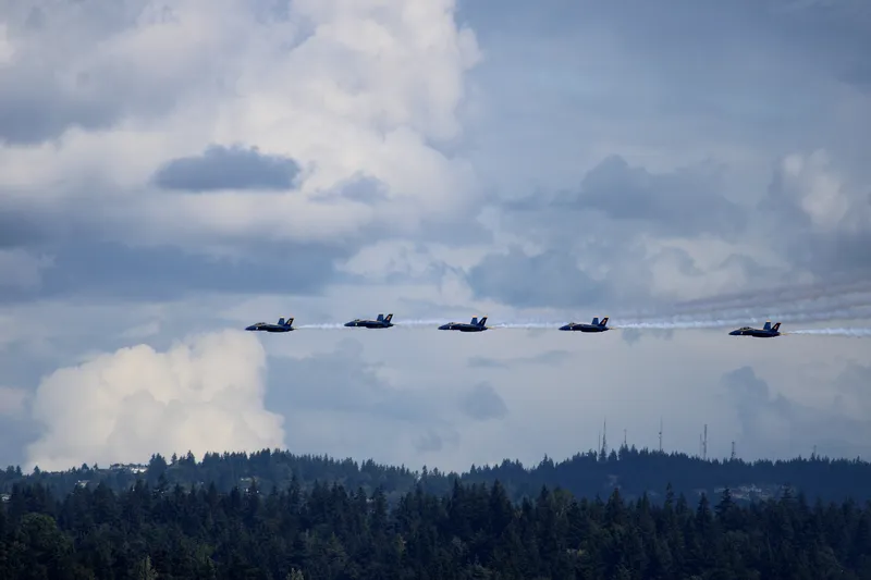 Delta, low over the pines